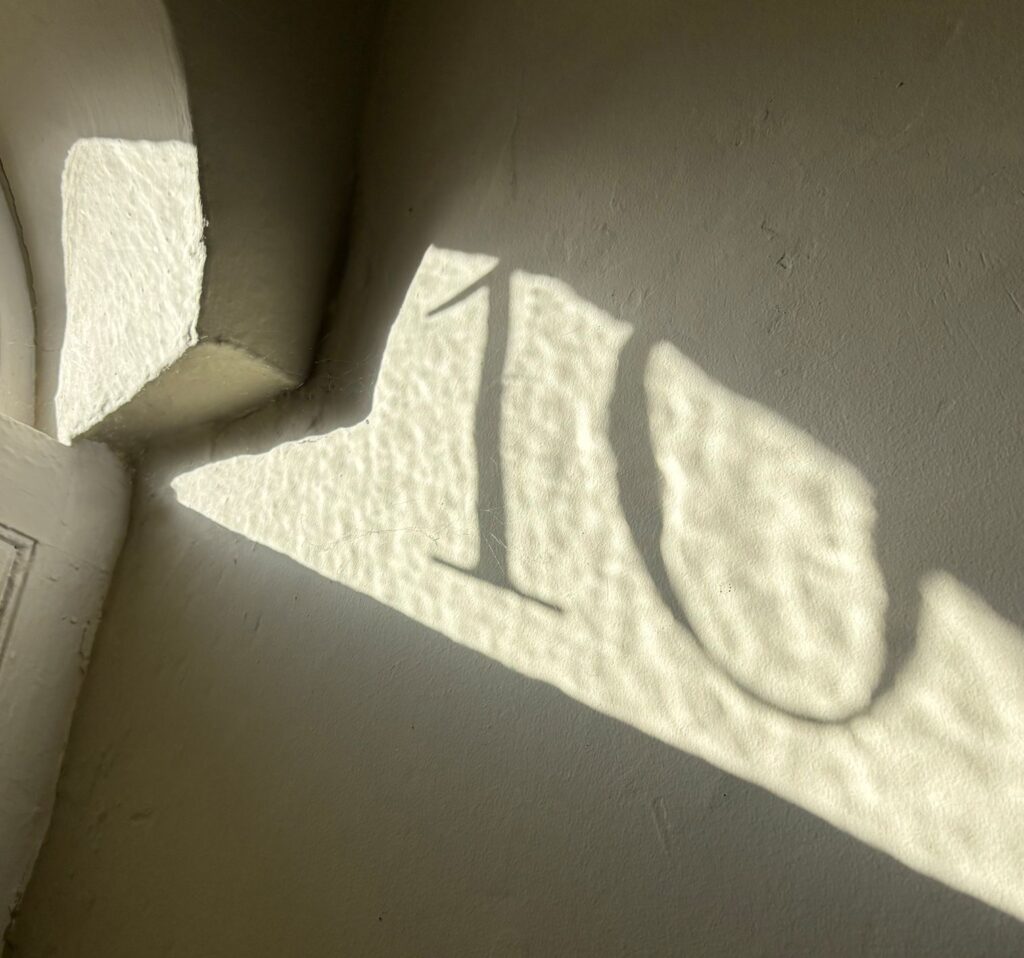 10 shadow