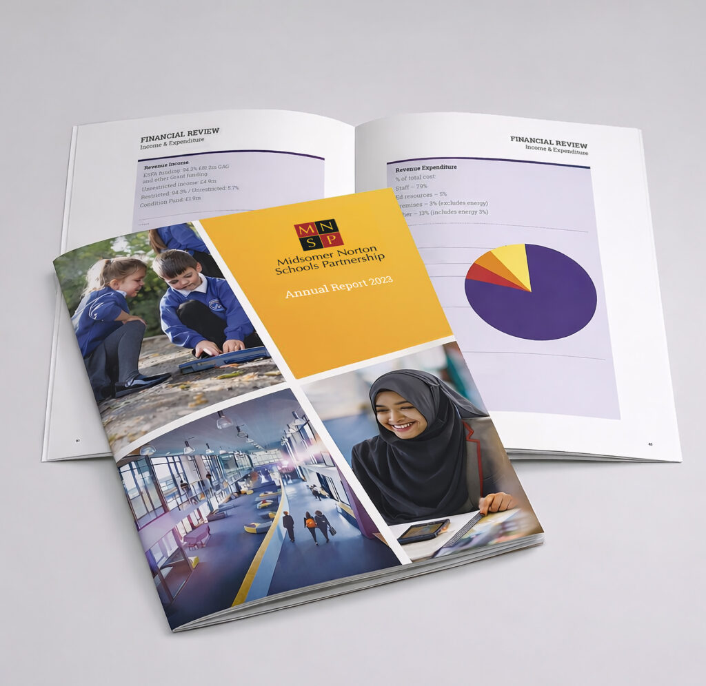 MNSP Annual Report